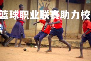 FB体育官网-荷兰篮球职业联赛助力校园篮球普及，荷兰的篮球水平怎么样