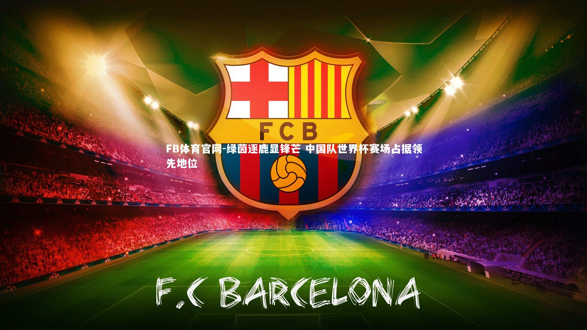 绿茵逐鹿显锋芒 中国队世界杯赛场占据领先地位