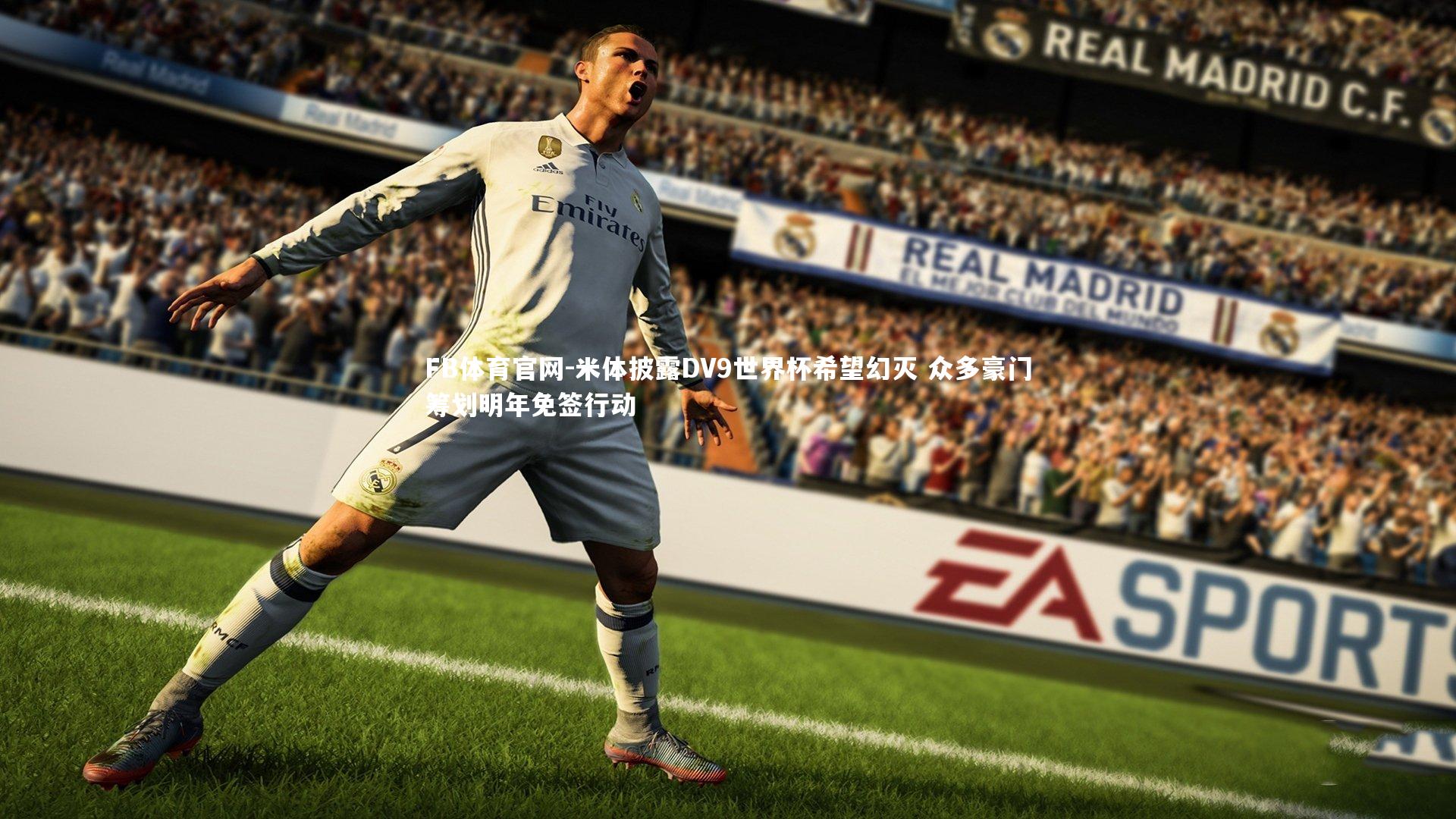 FB体育官网-米体披露DV9世界杯希望幻灭 众多豪门筹划明年免签行动